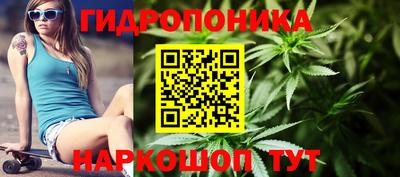 бошки Кимры