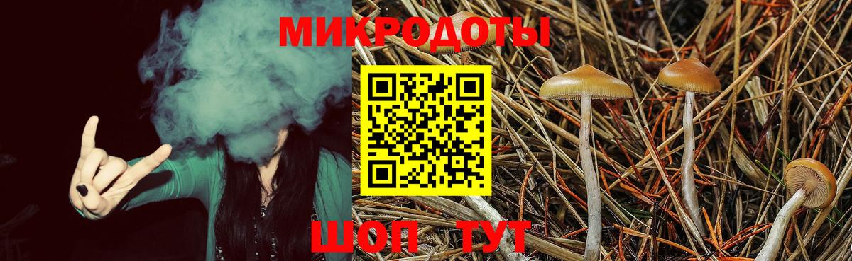 Котовск  Псилоцибиновые грибы Psilocybe  Галлюциногенные грибы ЛСД  Вход с VPN 